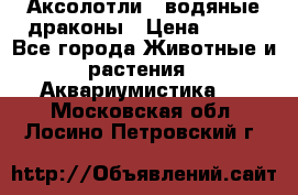 Аксолотли / водяные драконы › Цена ­ 500 - Все города Животные и растения » Аквариумистика   . Московская обл.,Лосино-Петровский г.